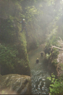 canyon_ain_6.jpg