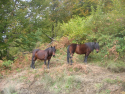dscn3035.jpg