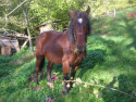 dscn3065.jpg