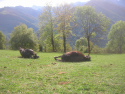dscn3072.jpg