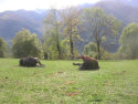 dscn3073.jpg