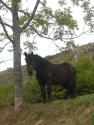 dscn3077.jpg