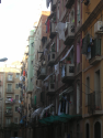 dscn3355.jpg