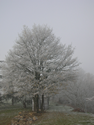 dscn3494.jpg
