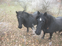 dscn3502.jpg