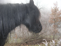 dscn3503.jpg