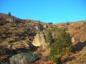 dscn3530.jpg